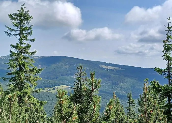 Hill 56 By Interhome * Černý Dŭl
